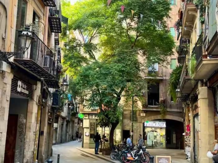 شقة لوفت ساحرة في إل بورن – الحد الأدنى 31 ليلة، موقع مميز - My Space Barcelona شقة